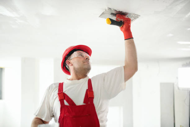 Best Acoustic Drywall Installation  in Villas, NJ